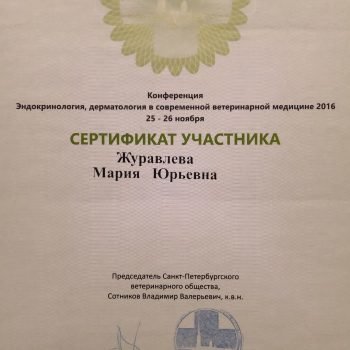 Документ или сертификат