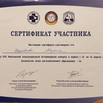 Документ или сертификат