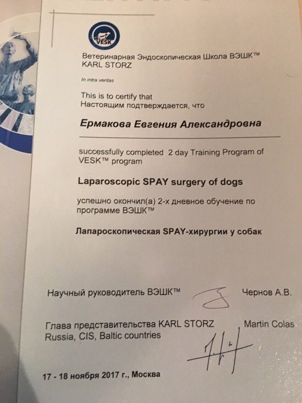 Документ или сертификат