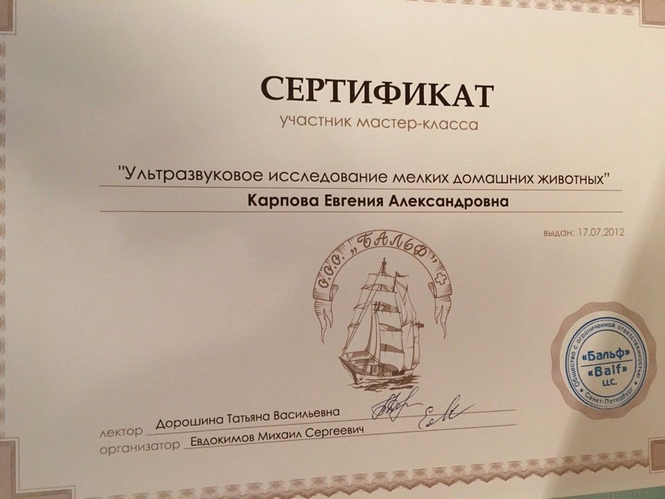 Документ или сертификат