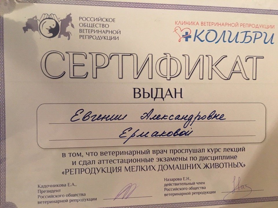 Документ или сертификат