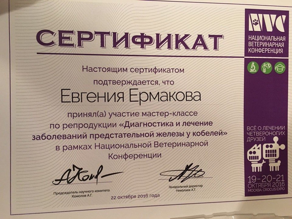 Документ или сертификат