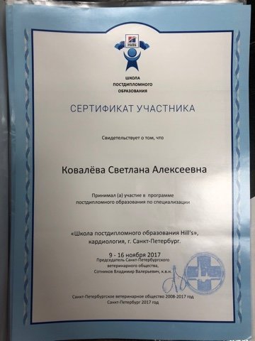 Документ или сертификат