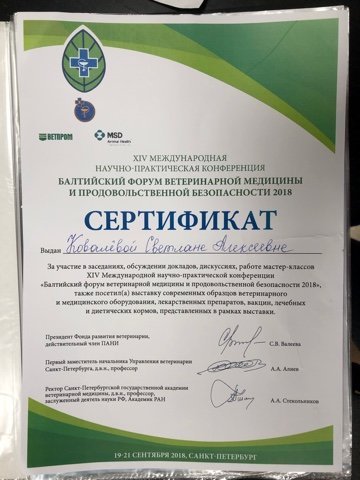 Документ или сертификат