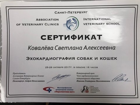 Документ или сертификат