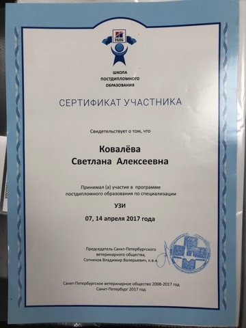 Документ или сертификат