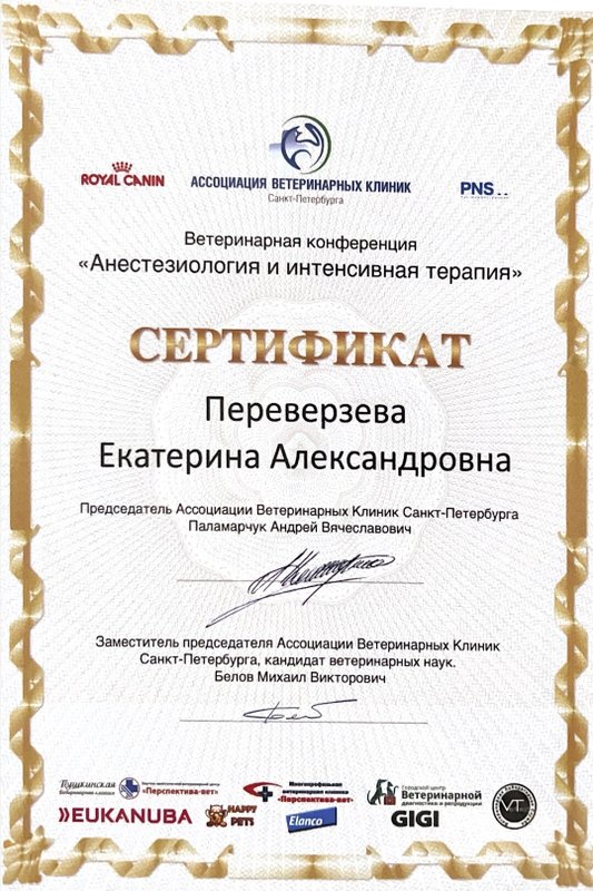 Документ или сертификат