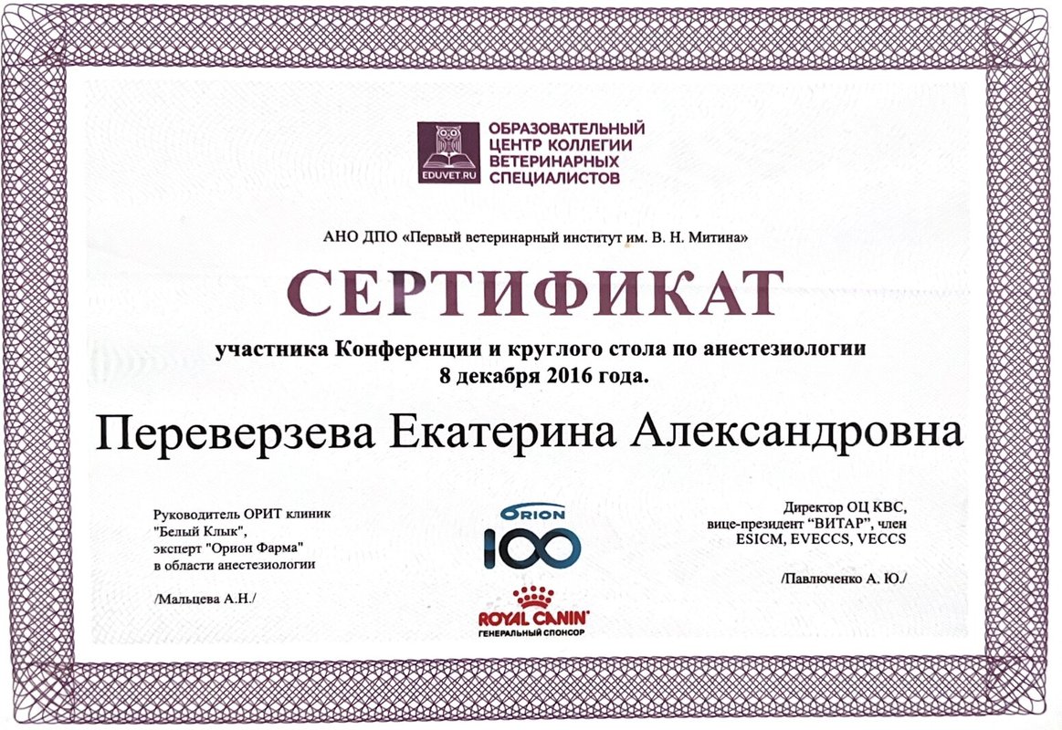 Документ или сертификат