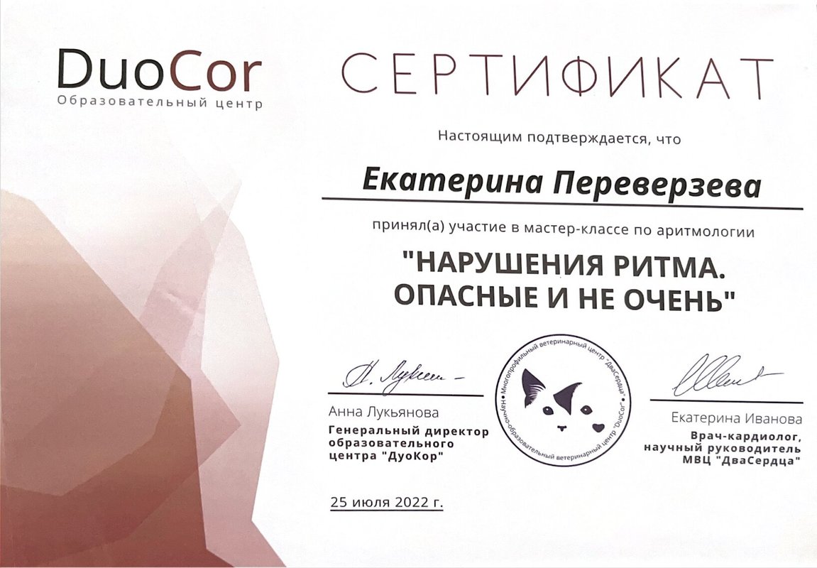 Документ или сертификат