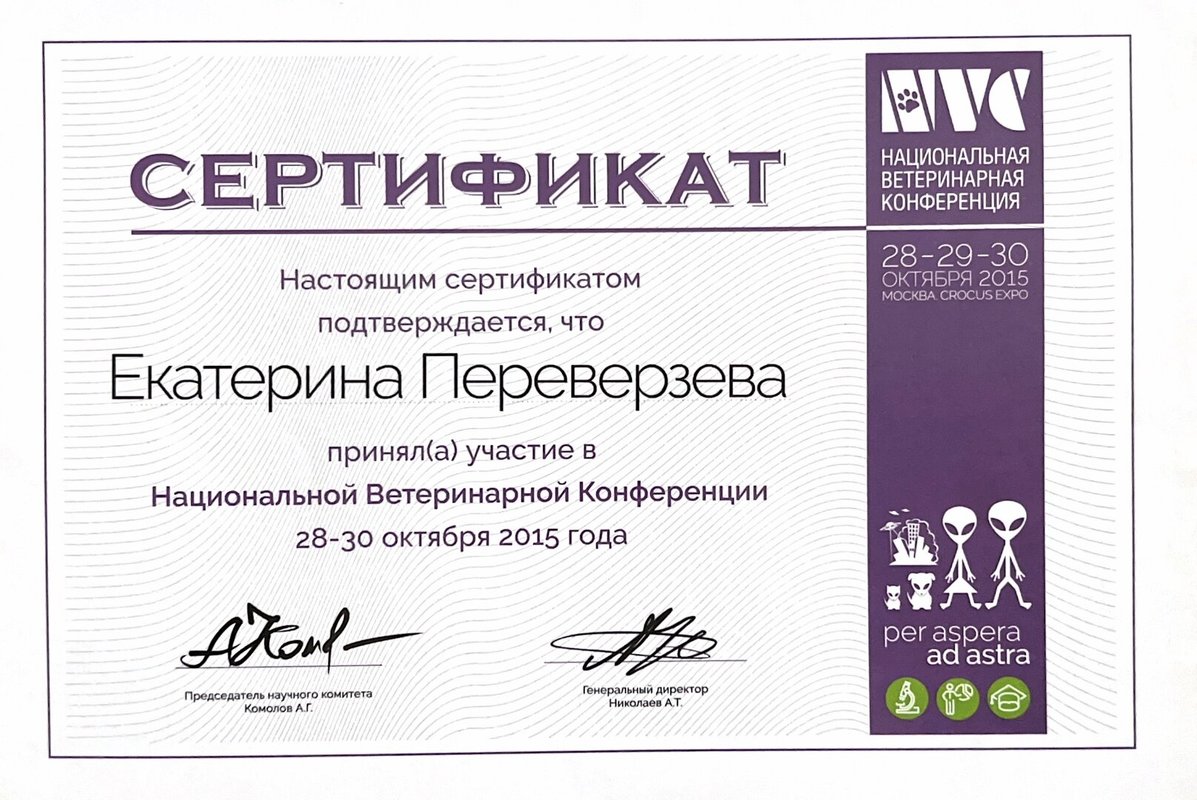 Документ или сертификат