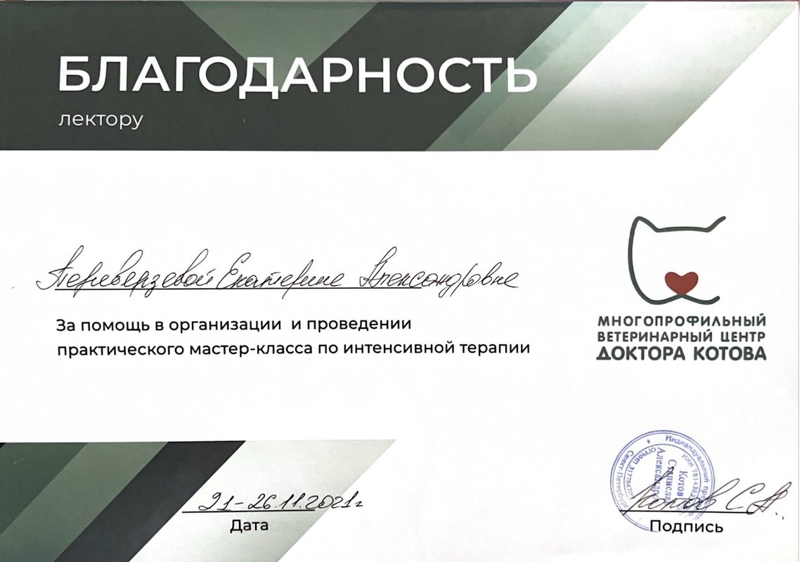 Документ или сертификат