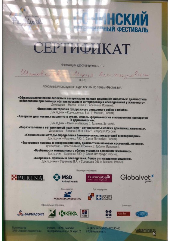Документ или сертификат