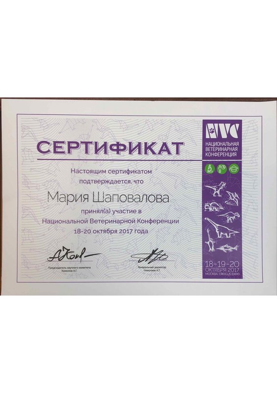Документ или сертификат