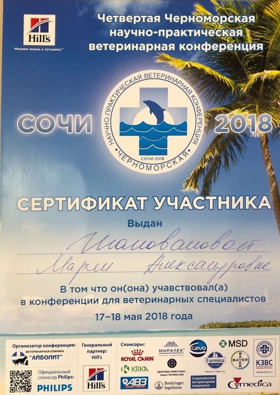 Документ или сертификат