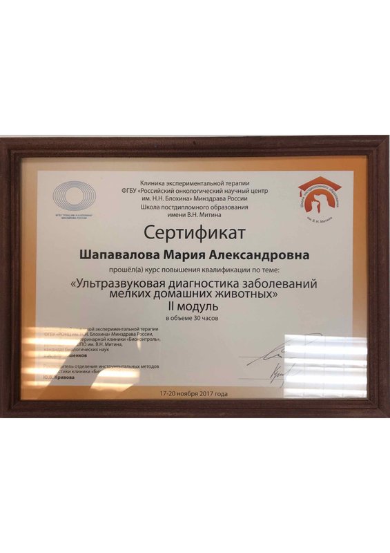 Документ или сертификат