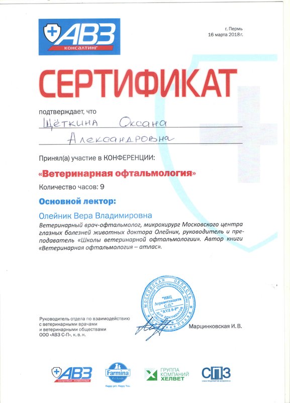 Документ или сертификат