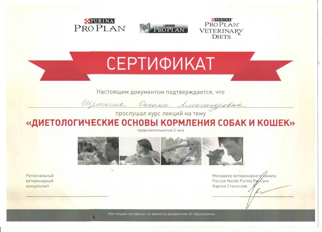 Документ или сертификат