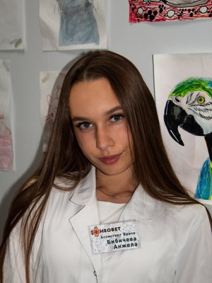 Фото врача Бибичева Анжела Николаевна