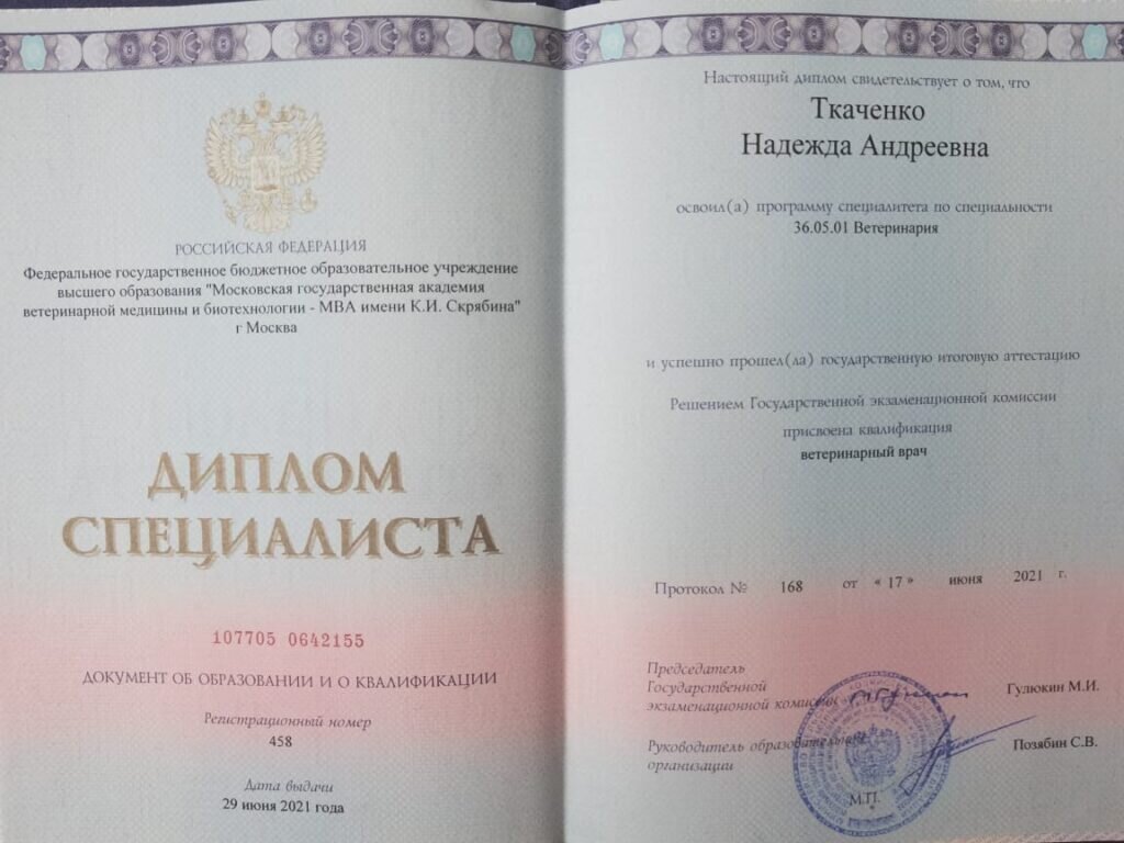 Документ или сертификат