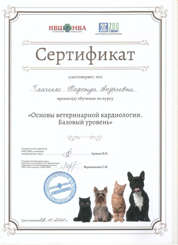Документ или сертификат