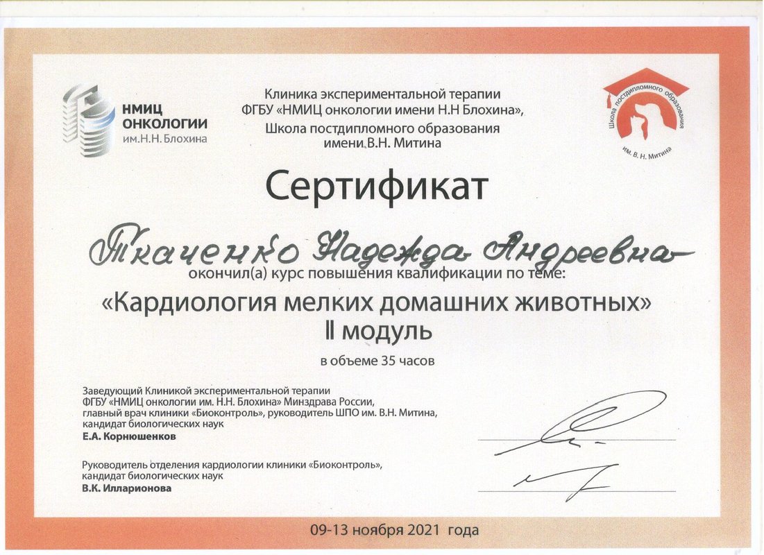 Документ или сертификат