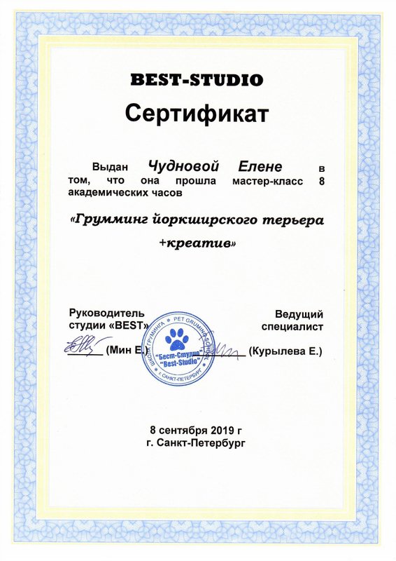 Документ или сертификат