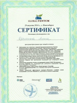 Фото врача Дрёмина Алена Олеговна