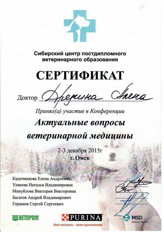 Документ или сертификат