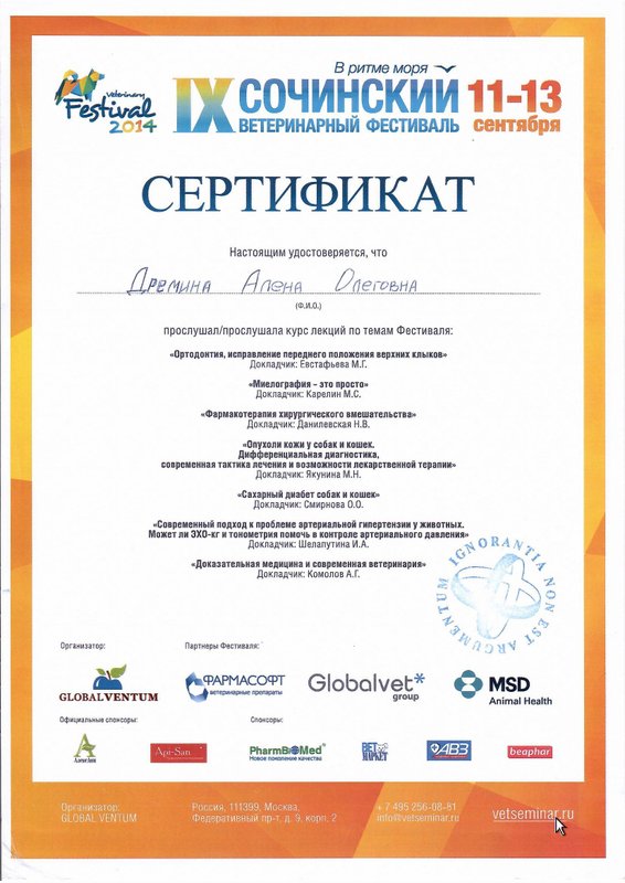 Документ или сертификат