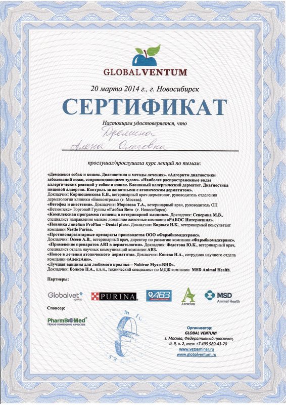 Документ или сертификат