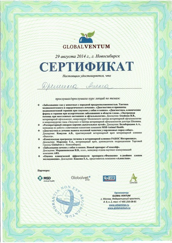 Документ или сертификат