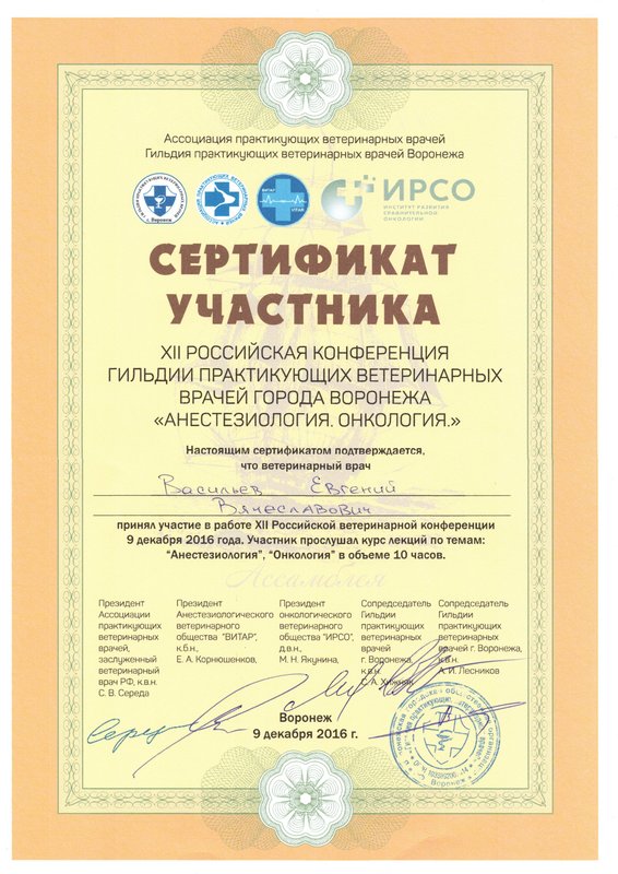 Документ или сертификат