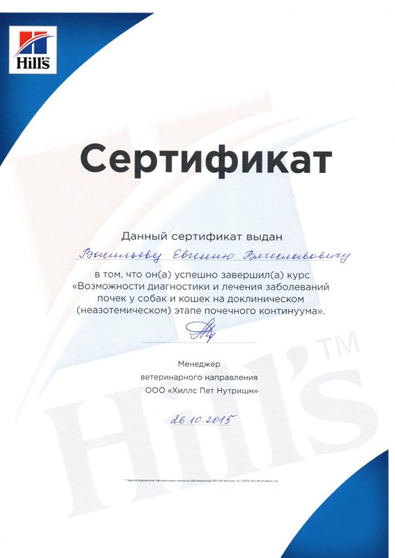Документ или сертификат