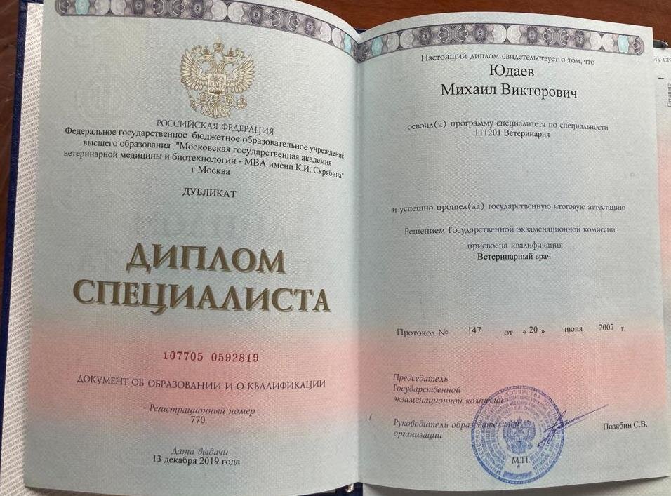 Документ или сертификат