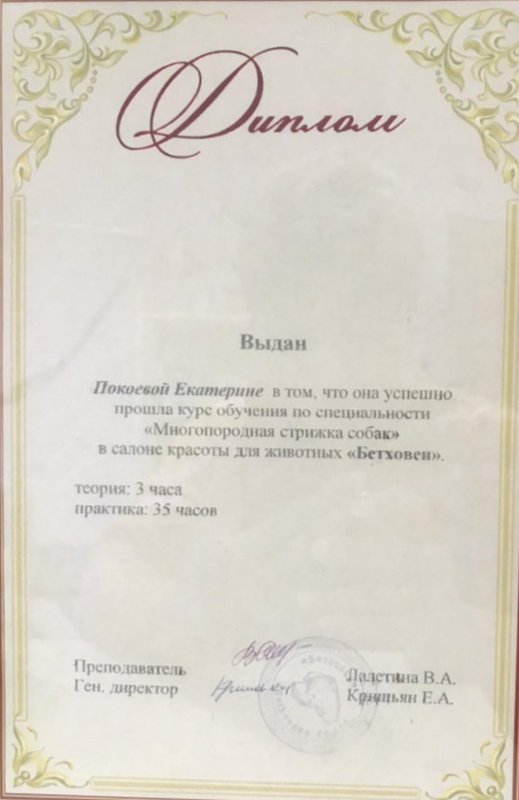 Документ или сертификат