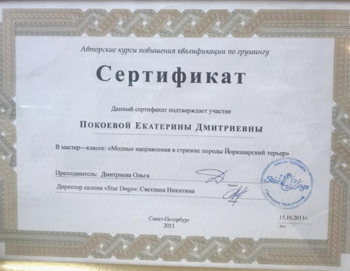 Документ или сертификат