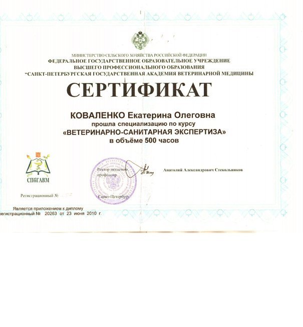Документ или сертификат