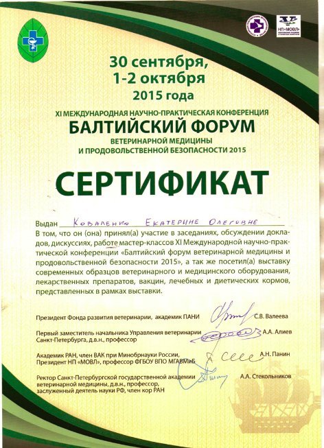 Документ или сертификат