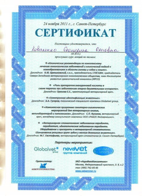 Документ или сертификат