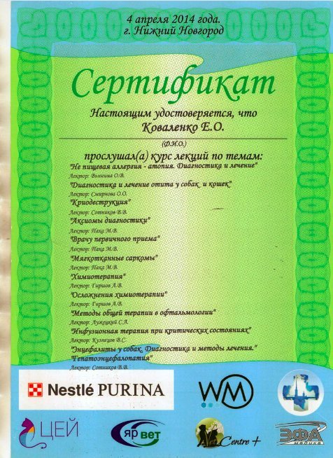 Документ или сертификат
