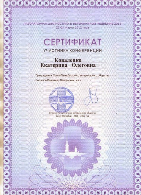 Документ или сертификат
