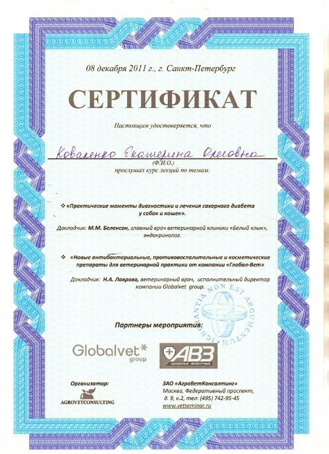 Документ или сертификат