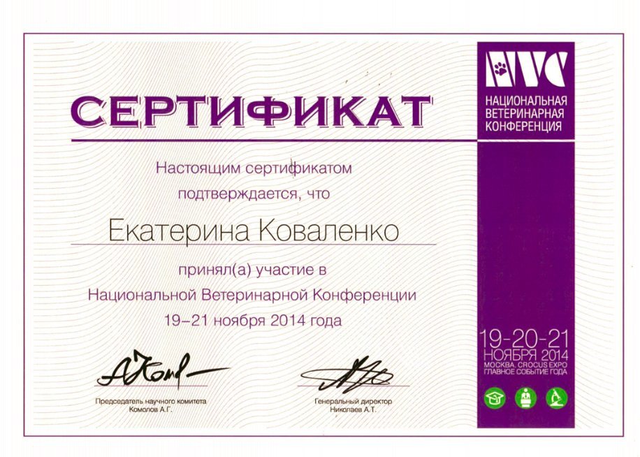 Документ или сертификат