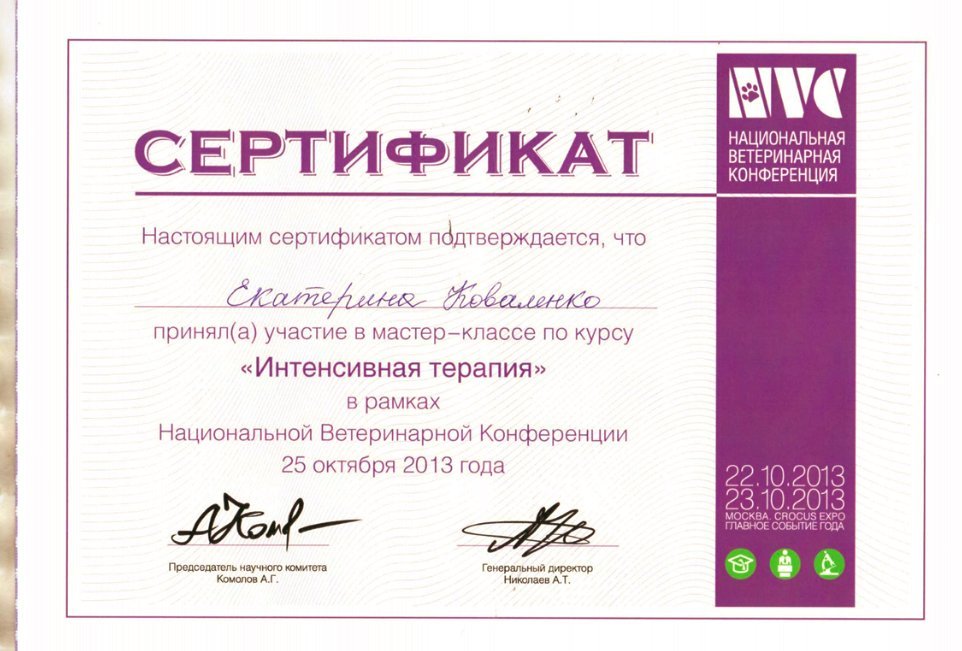 Документ или сертификат