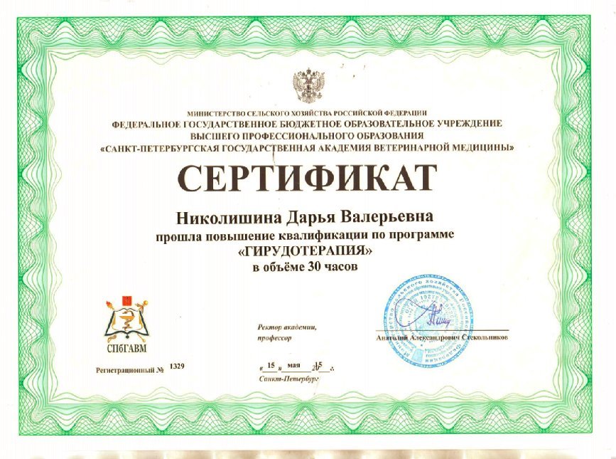 Документ или сертификат