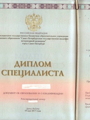 Фото врача Клубкова Ольга Сергеевна
