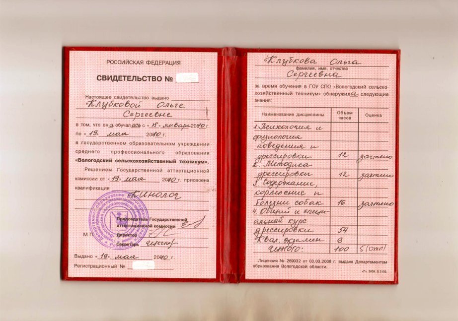 Документ или сертификат