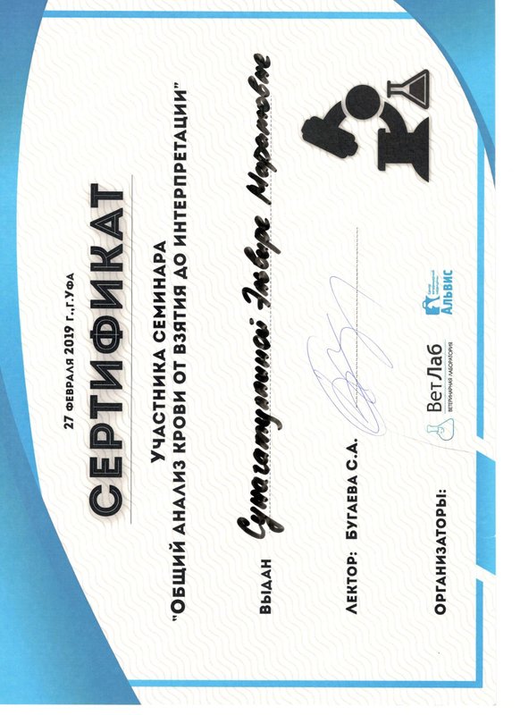 Документ или сертификат