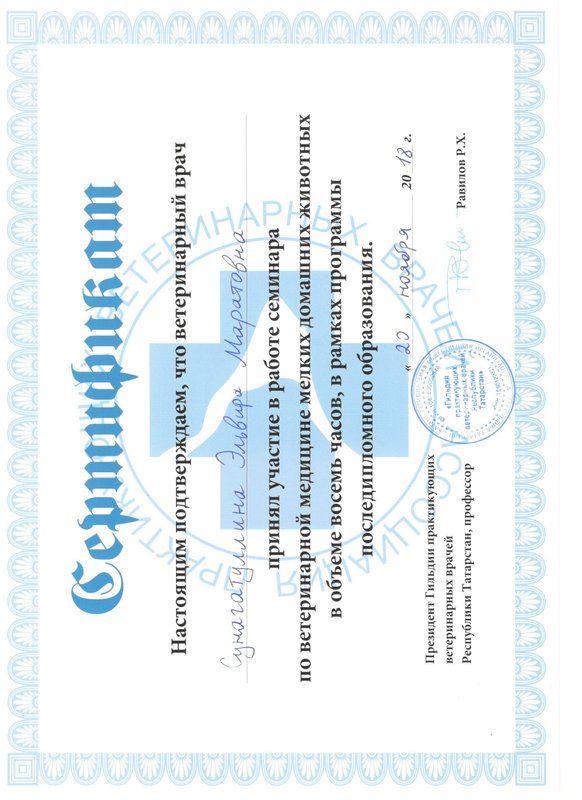 Документ или сертификат