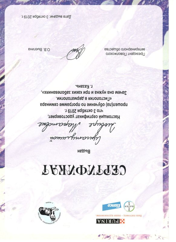 Документ или сертификат